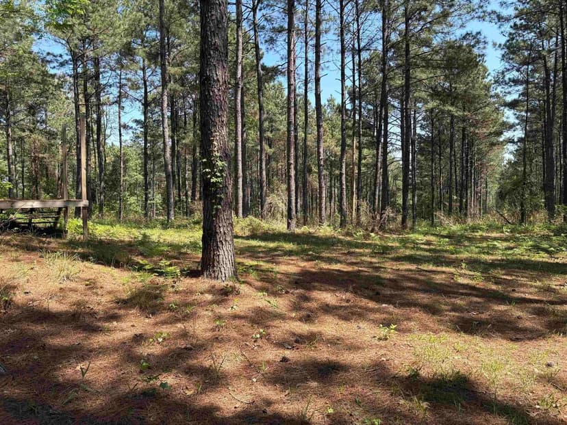 Lots & Land-Other in Avinger