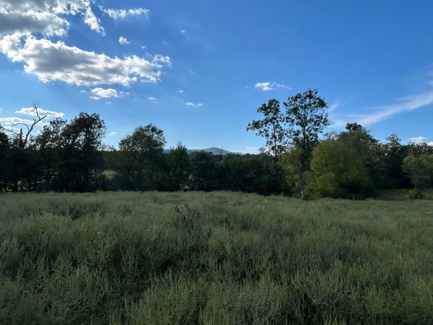 12.19 Acres in Polk County, AR  - Mena, Arkansas, 71953