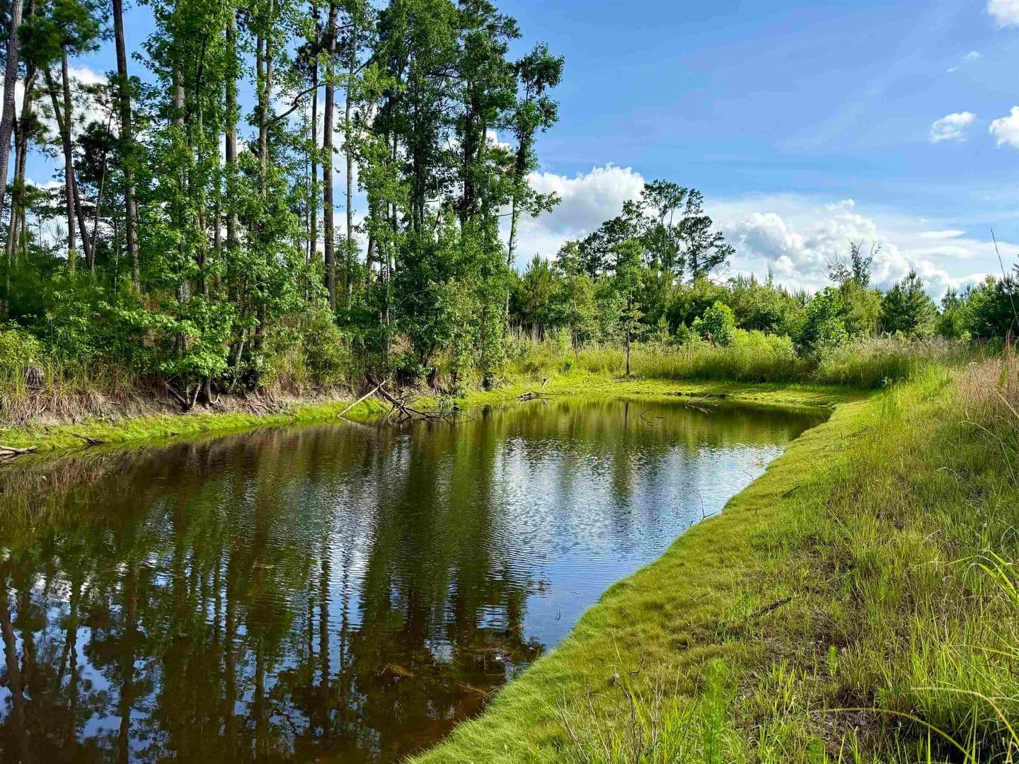 85 Acres of Land for Sale in Johnsonville, SC - Johnsonville, South Carolina, 29555
