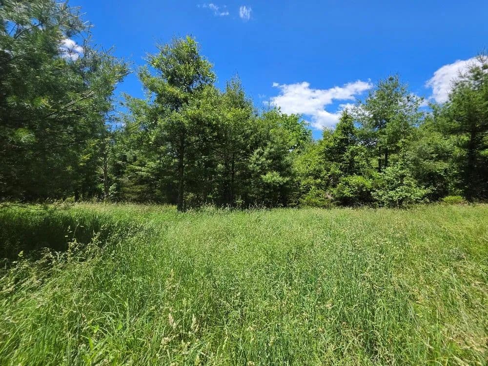 Property from TBD Oak Grove Rd #TBD - KW - Woodlawn, Virginia, 24381