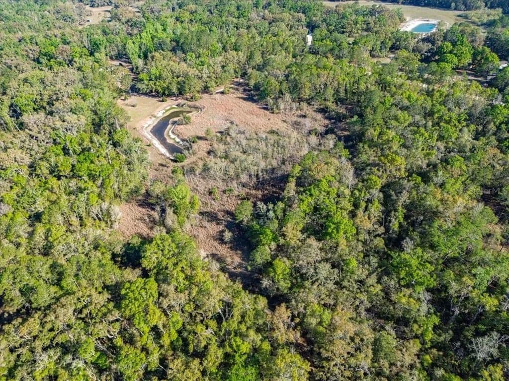 Vacant Land in Old Town - Old Town, Florida, 32680