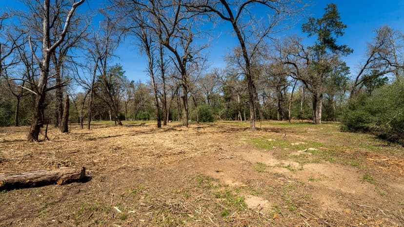 3.65 Acres in Milam County