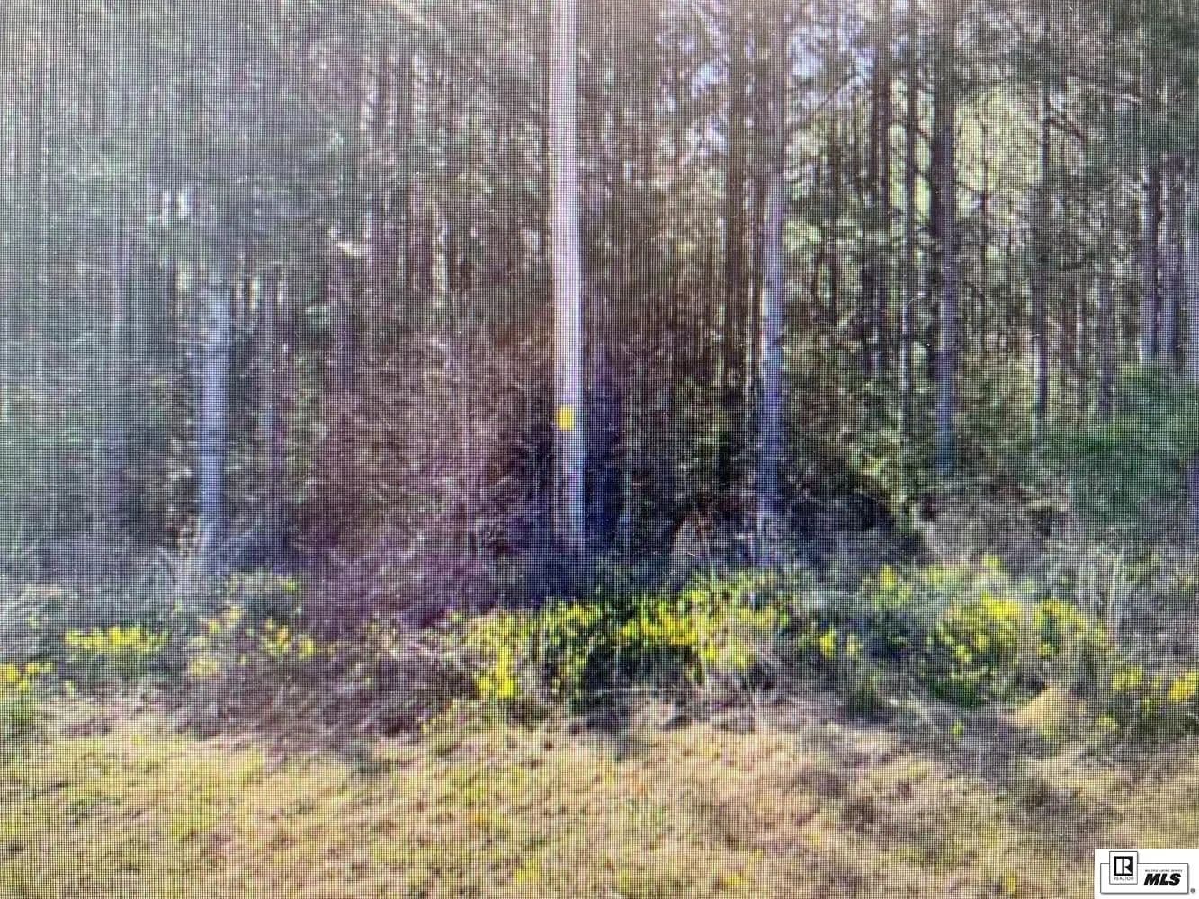 Vacant Land in Ruston - Ruston, Louisiana, 71270