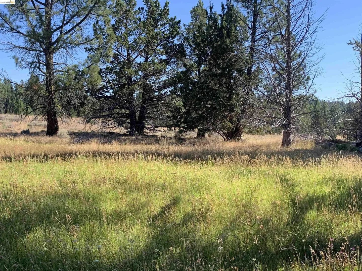 Lots & Land-Other in Susanville - Susanville, California, 96127