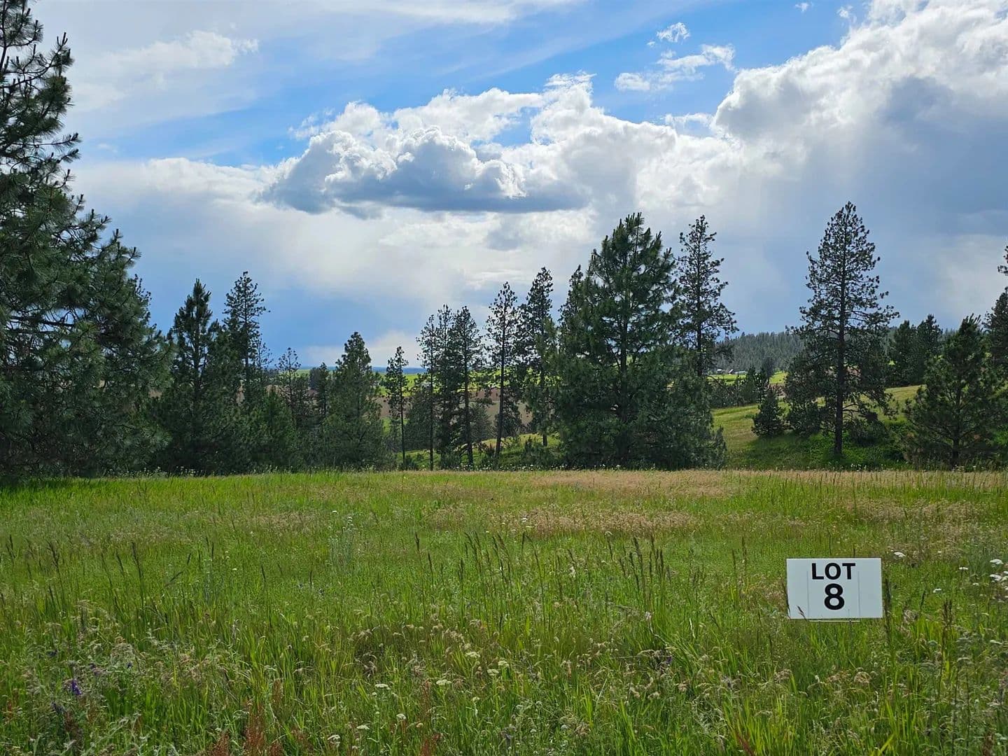 Property from NNA S Sands Rd - KW - Valleyford, Washington, 99036