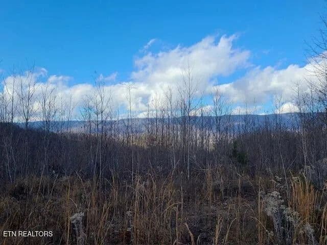 Lots & Land-Other in Ewing