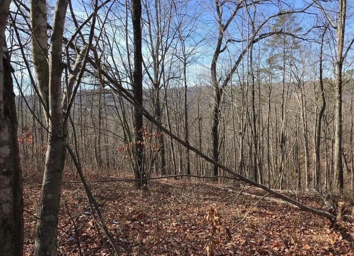 Vacant Land in Dunlap - Dunlap, Tennessee, 37327