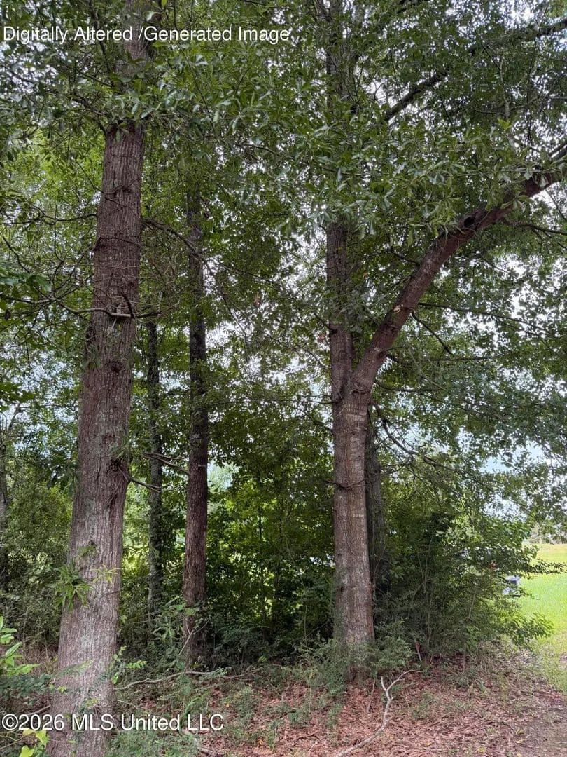 0.7 Acres of Land for Sale in McComb, MS - Mccomb, Mississippi, 39648