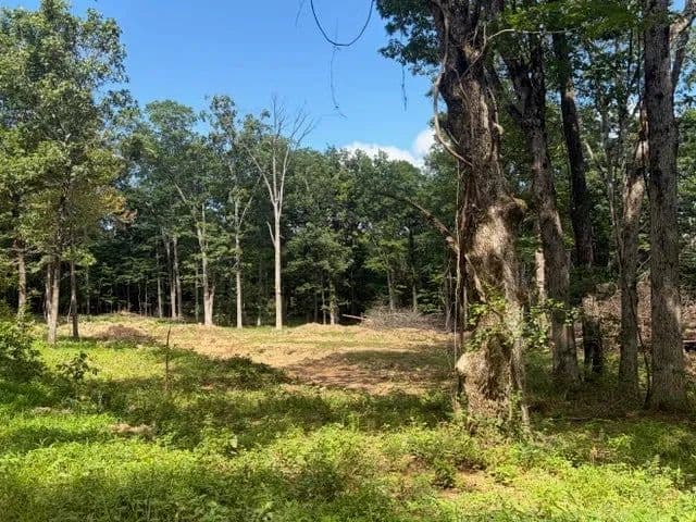 Lots & Land-Other in Winslow - Winslow, Arkansas, 72959