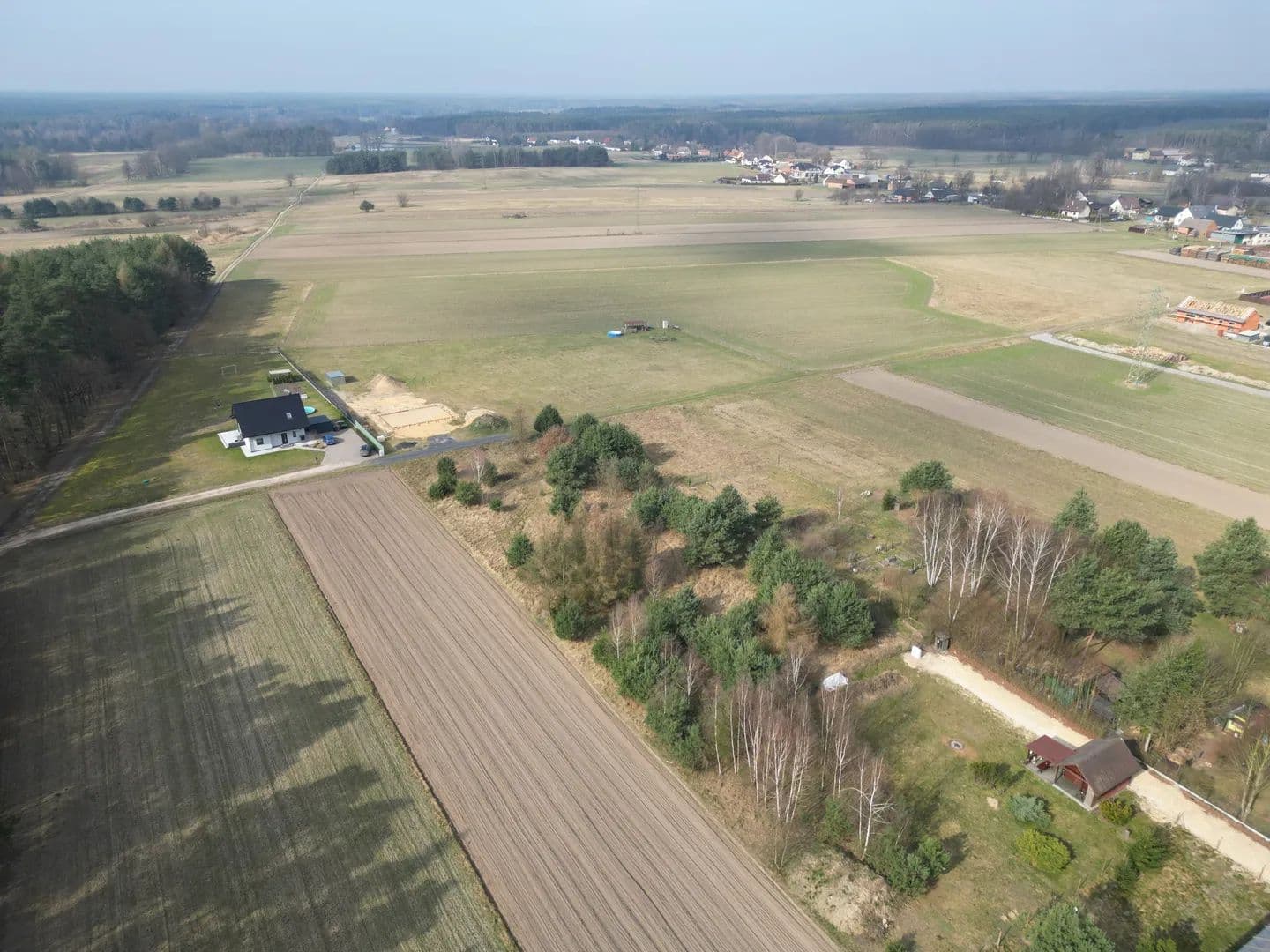 Twój prywatny las 15 minut od Gliwic - Poland