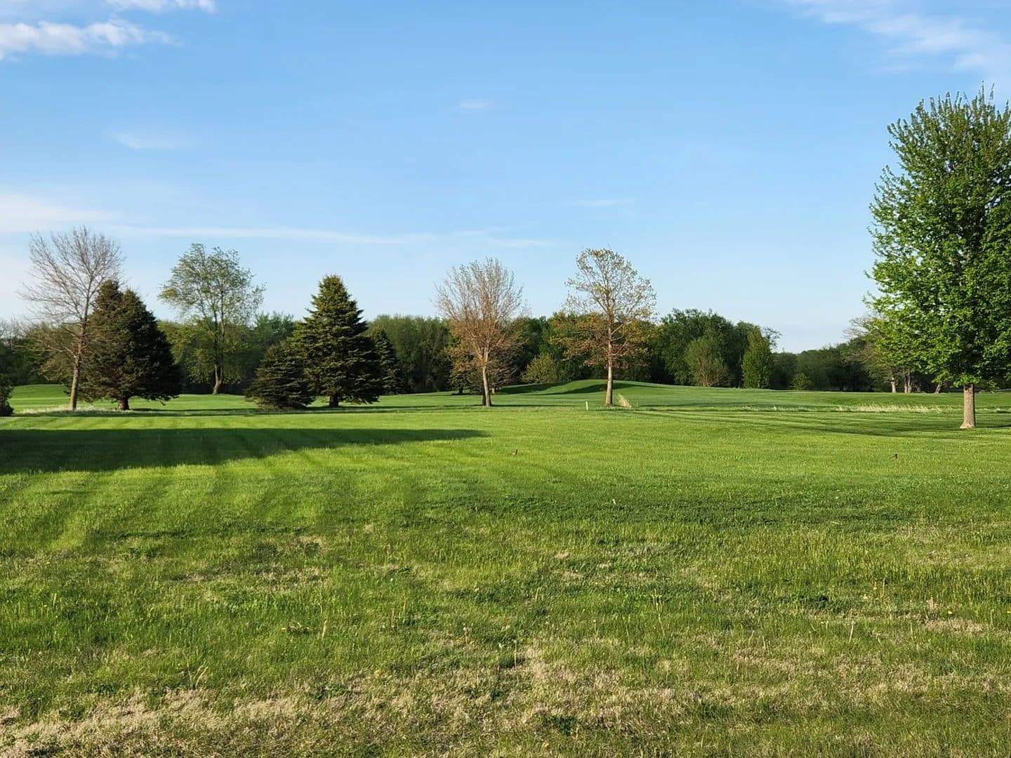 Lots & Land-Other in Sheffield - Sheffield, Iowa, 50475