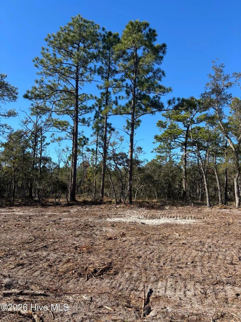 Property from Lot 127 Coral Gull Street - KW - Southport, North Carolina, 28461