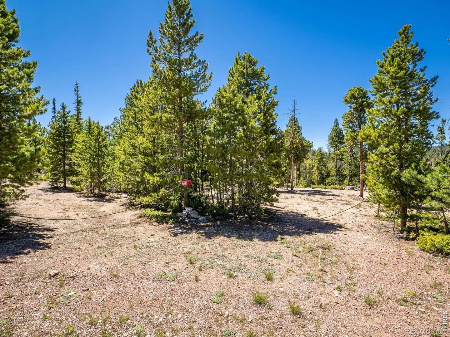 1.47 Acres of Land for Sale in Red Feather Lakes, Colorado - Red Feather Lakes, Colorado, 80545