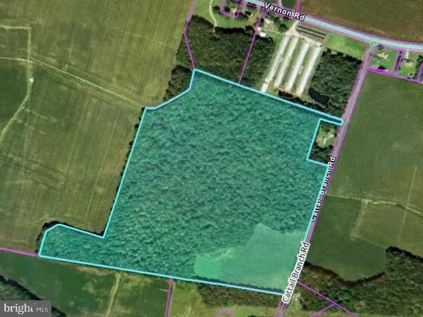 Vacant Land in Harrington - Harrington, Delaware, 19952