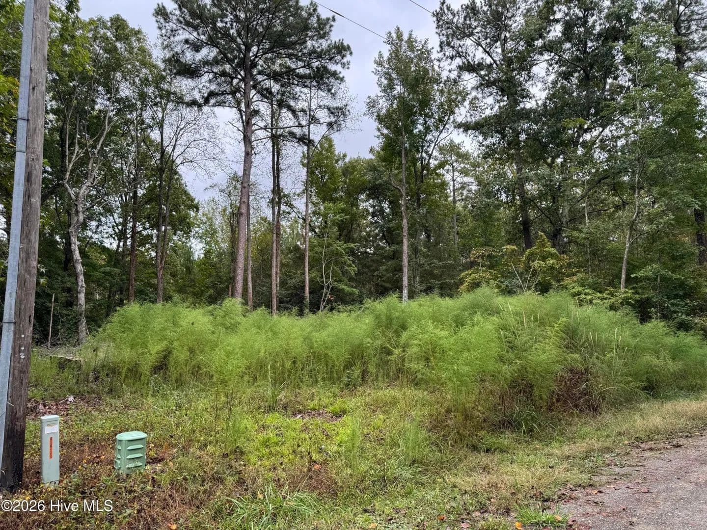 Lots & Land-Other in Blounts Creek - Blounts Creek, North Carolina, 27814