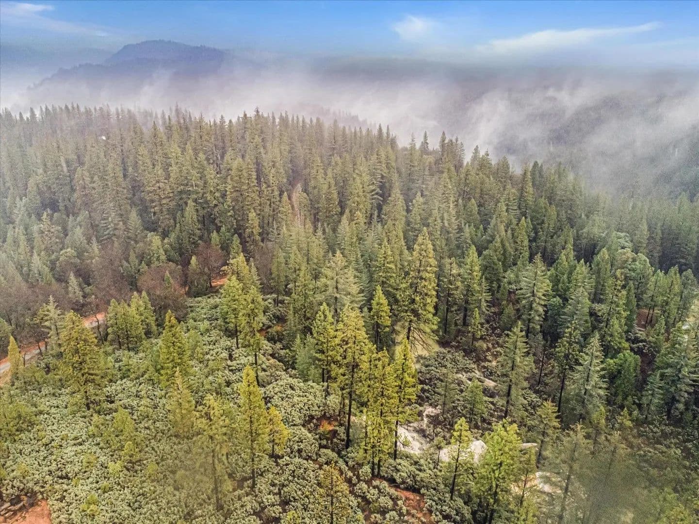 Vacant Land in Nevada City - Nevada City, California, 95959