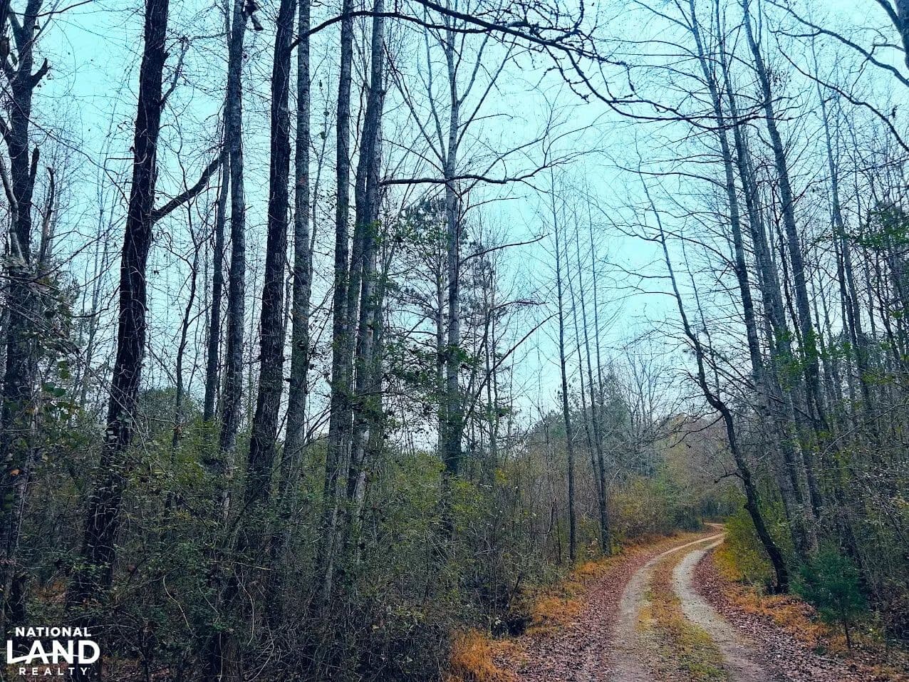 Hopeful Area Lot 3 - Munford, Alabama, 36268