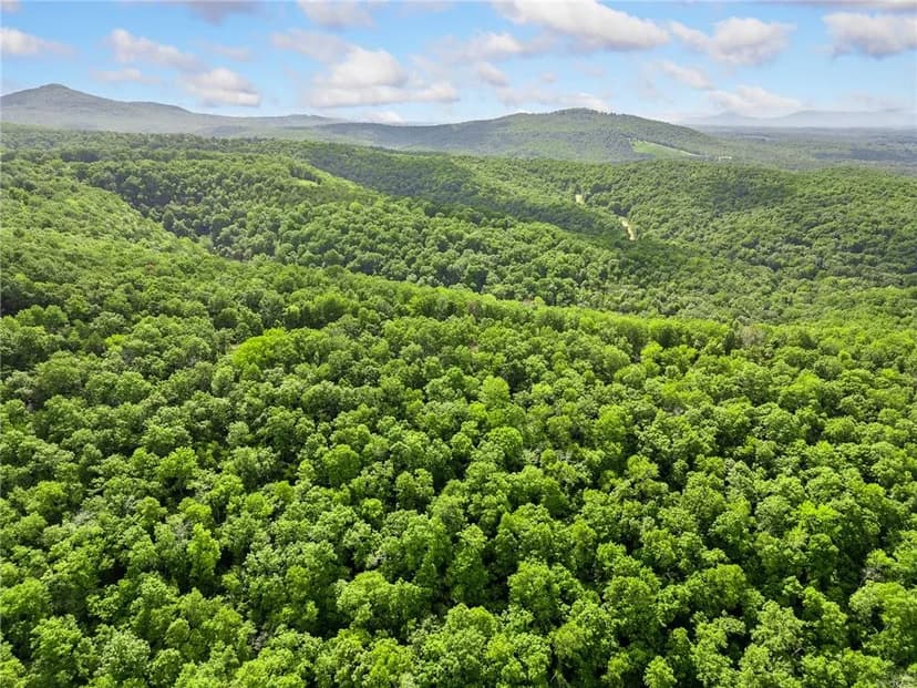 Vacant Land in Marble Falls