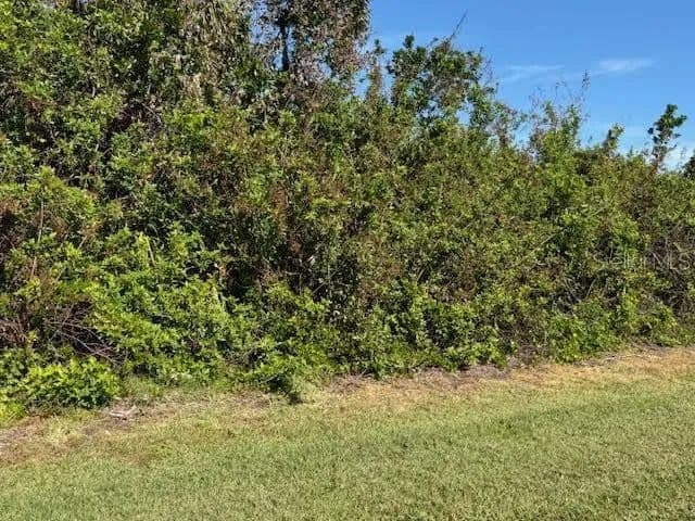 Vacant Land in Englewood - Englewood, Florida, 34224