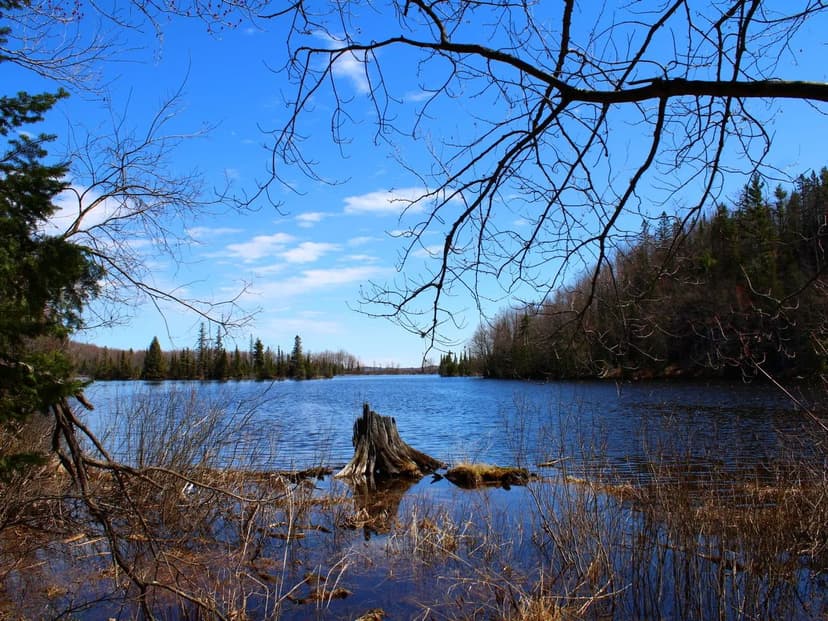 Land -Single Family Acreage in Pence