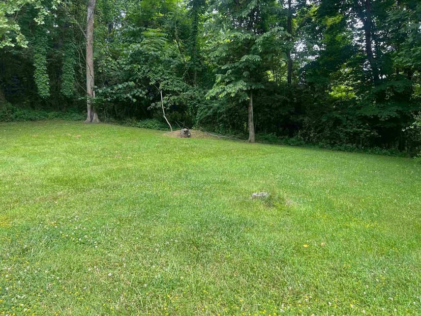 Lots & Land-Other in Huntington