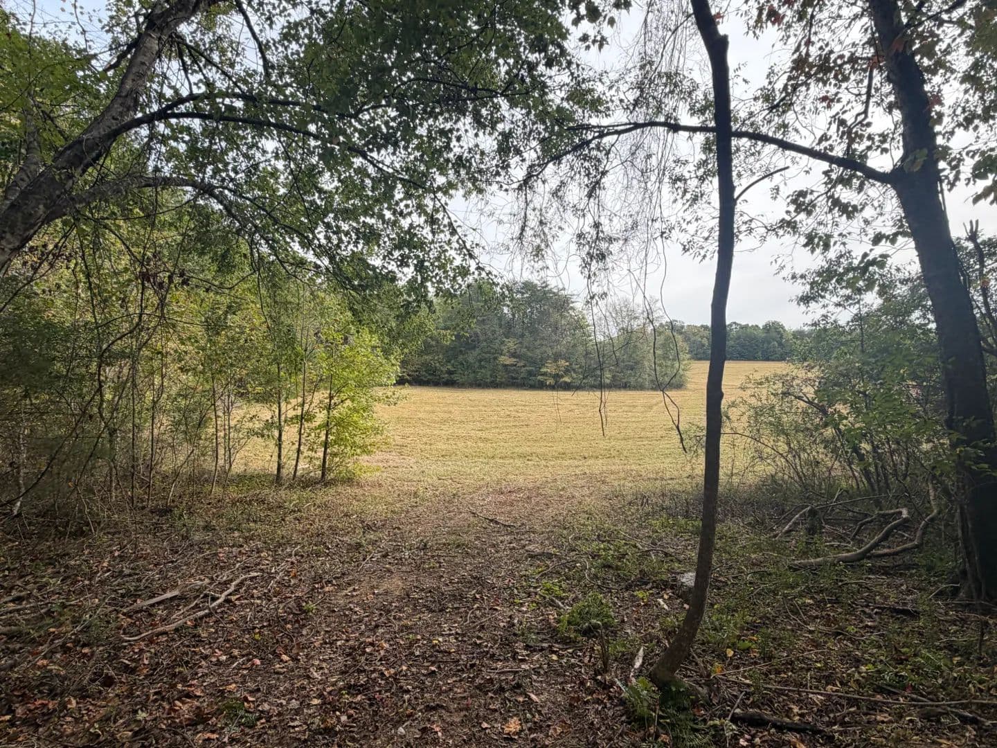 9.13 Acres in Hamilton County, TN  - Sale Creek, Tennessee, 37373