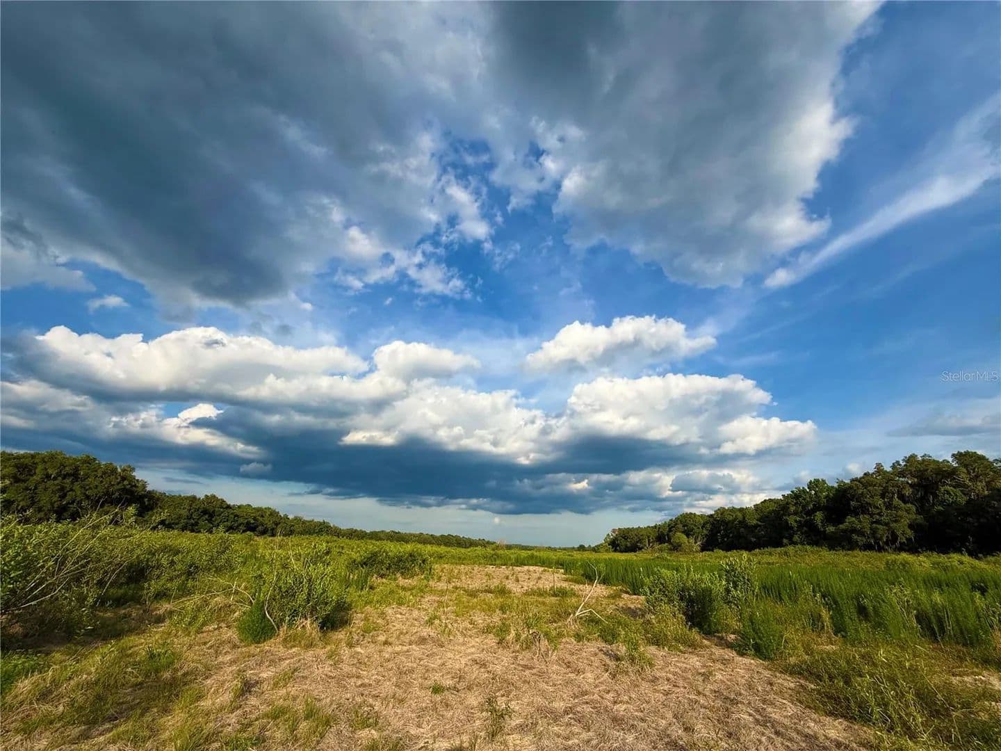 12.1 Acres of Land for Sale in CHIEFLAND, FL - Chiefland, Florida, 32626
