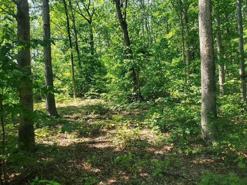 Lots & Land-Other in Stout