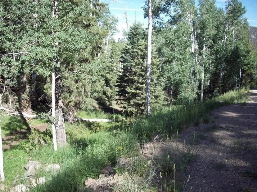 Land -Single Family Acreage in Beaver