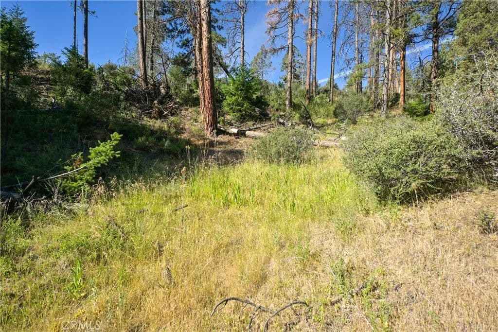 277.37 Acres of Land for Sale in Fort Jones, CA - Fort Jones, California, 96032
