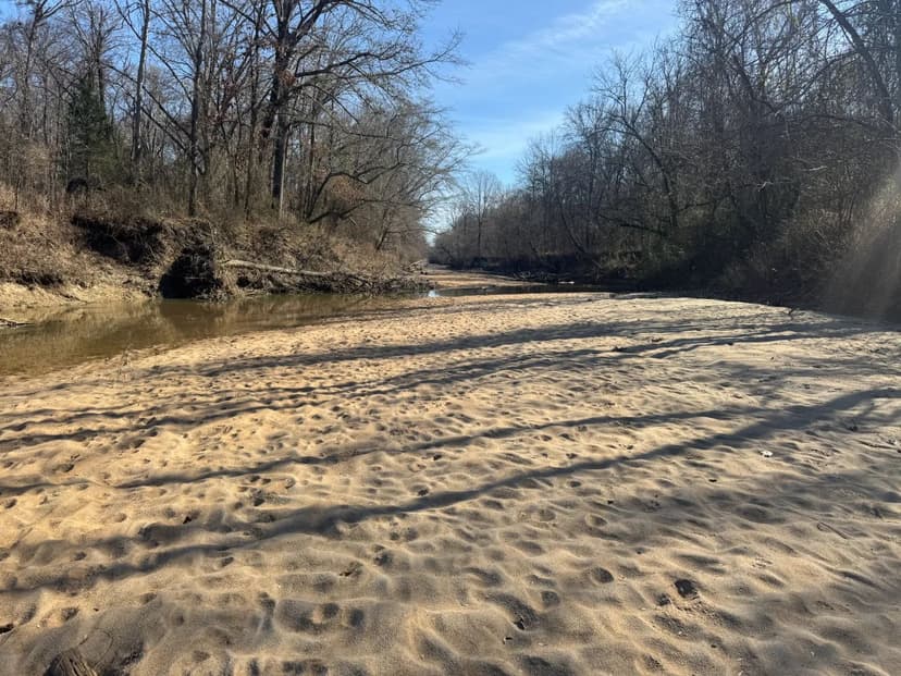 38.5 Acres in Clay County, MS 