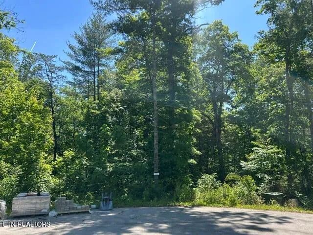 Vacant Land in Townsend - Townsend, Tennessee, 37882