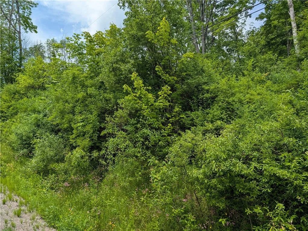 6.8 Acres of Land for Sale in Norwich, New York - Norwich, New York, 13815