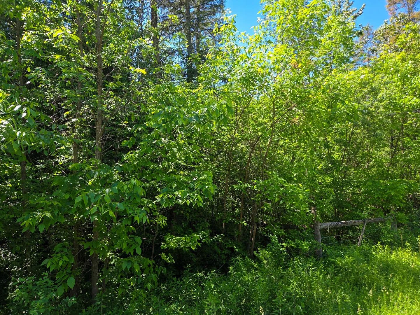 Property from 2010 County Road 37 - KW - Brasher Falls, New York, 13613