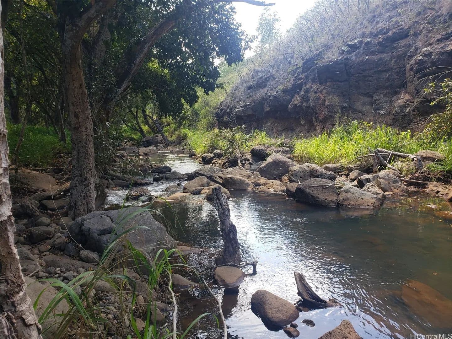 17.24 Acres of Land for Sale in Haleiwa, HI - Haleiwa, Hawaii, 96712