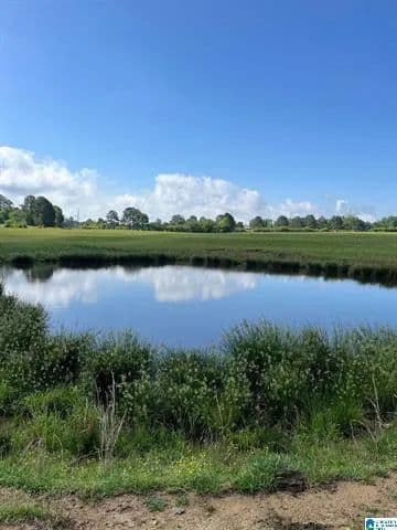 Vacant Land (10+ Acres) in Oneonta - Oneonta, Alabama, 35121