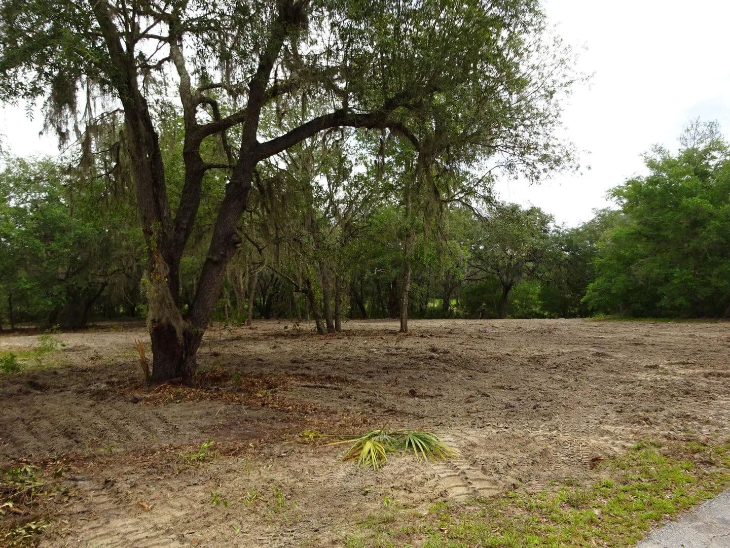 1.31 Acres of Land for Sale in Dunnellon, FL - Dunnellon, Florida, 34431