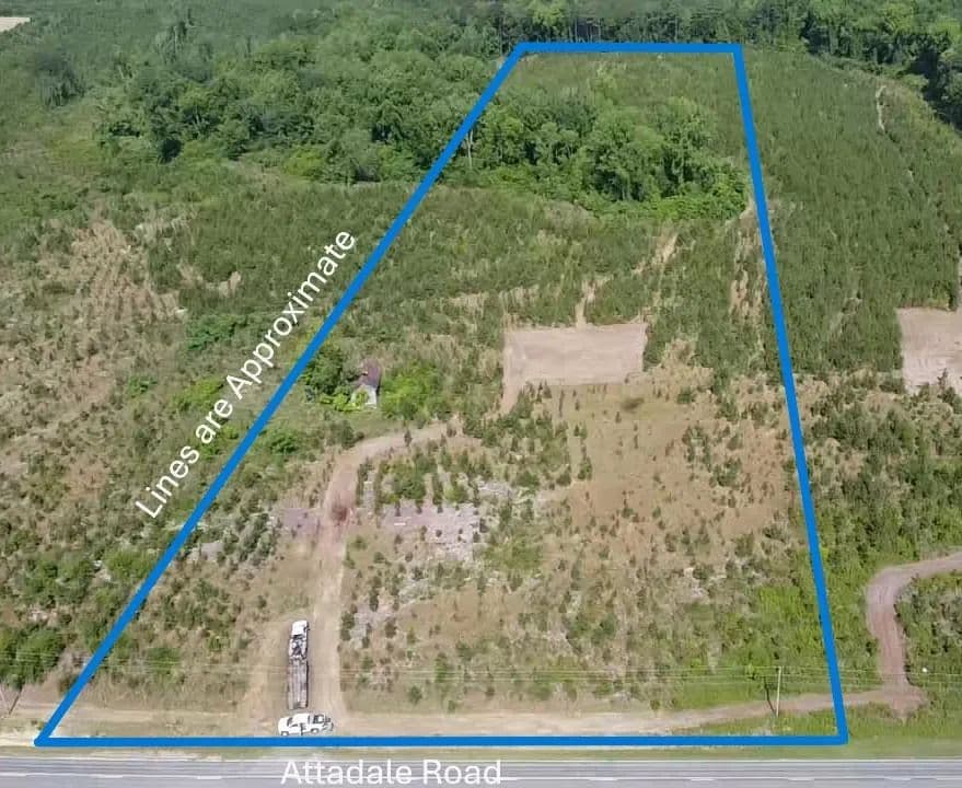 Property from Lot 3 Attadale Rd - KW - Blenheim, South Carolina, 29516
