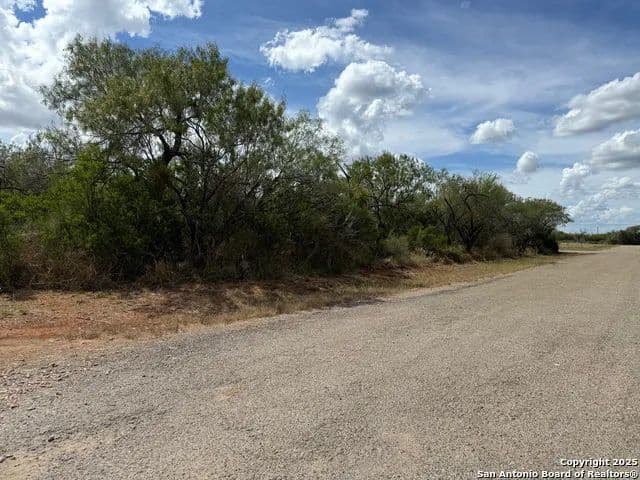 Vacant Land in Dilley - Dilley, Texas, 78017
