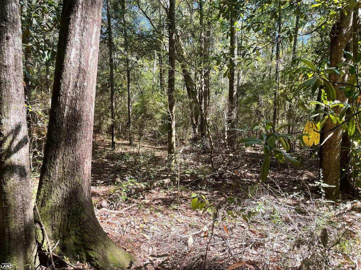 West Mobile-Glen Acres Lot - Mobile, Alabama, 36608