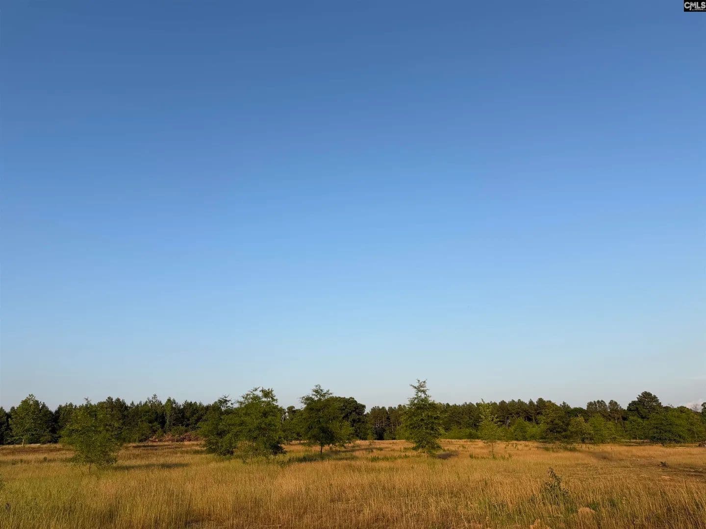 Vacant Land in Pomaria - Pomaria, South Carolina, 29126