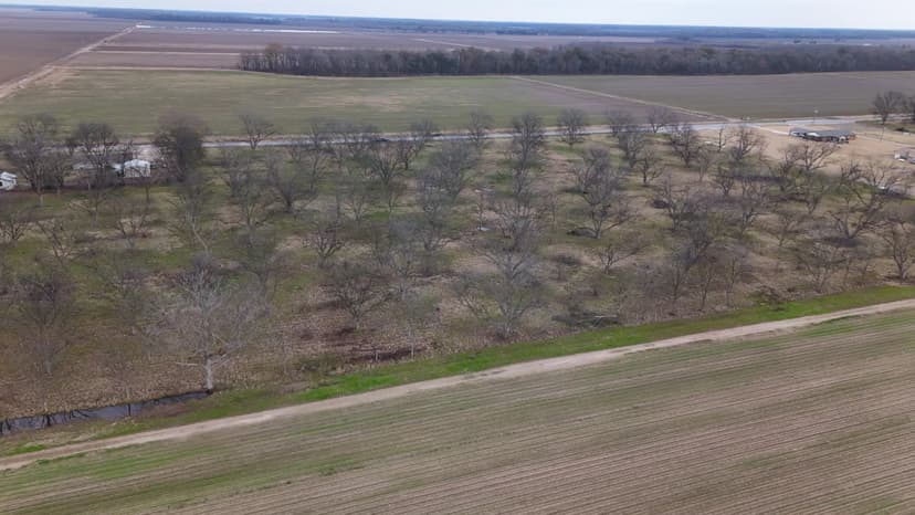 14.5 Acres in Bolivar County, MS 
