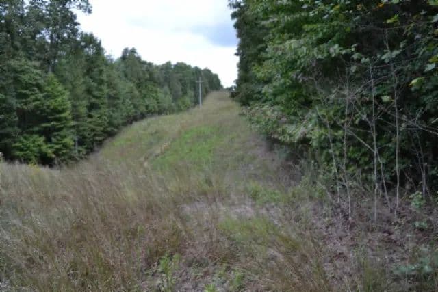 25.80 AC OF GREAT HUNTING GROUNDS IN A PRIVATE & SECLUDED LOCATION CLOSE TO KNOXVILLE, TN - Sparta, Tennessee, 38543