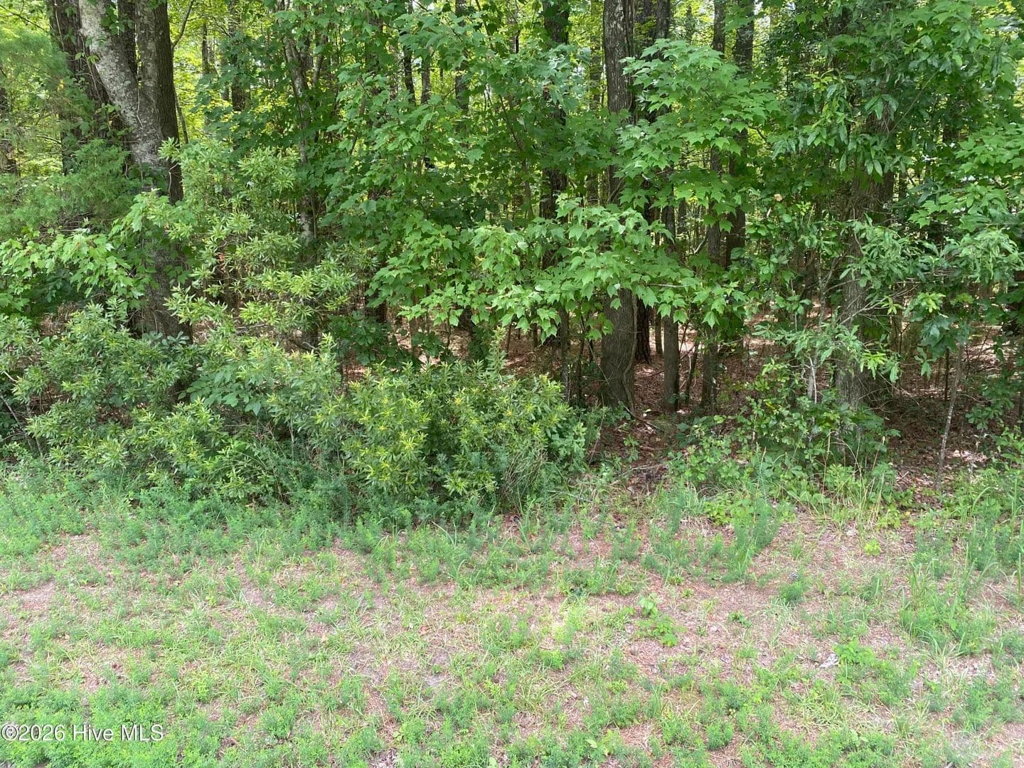 Vacant Land in Blounts Creek - Blounts Creek, North Carolina, 27814