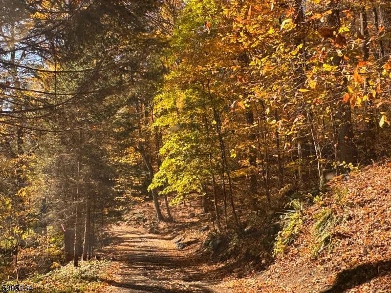 Vacant Land in White Twp.