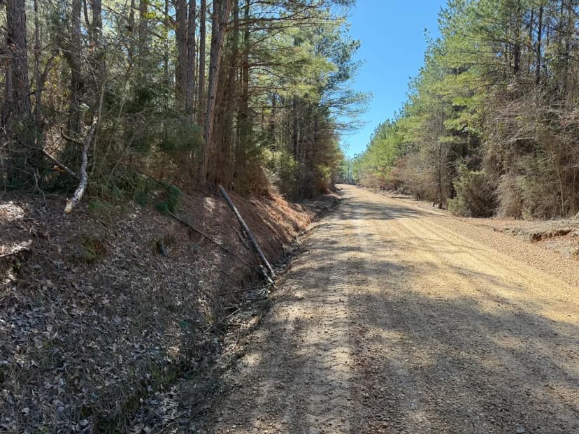 121 Acres in Attala County in McCool, MS