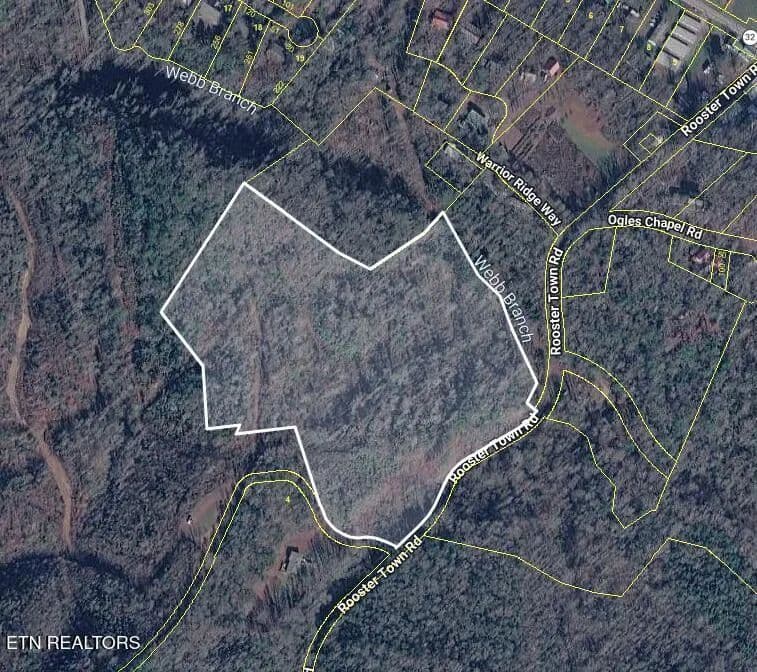 18.13 Acres of Land for Sale in Cosby, TN - Cosby, Tennessee, 37722