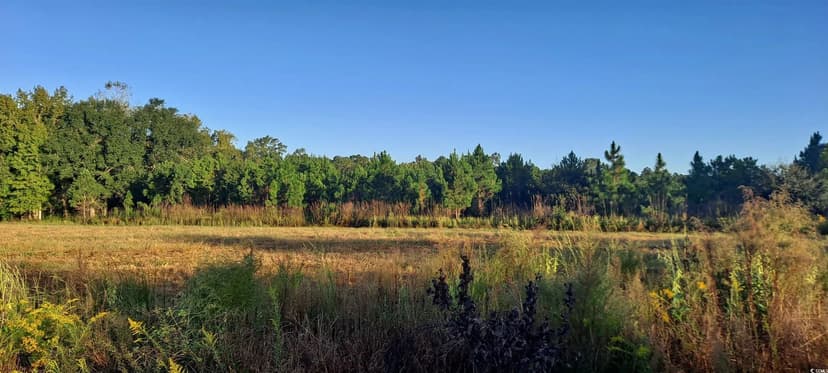 Vacant Land in Andrews