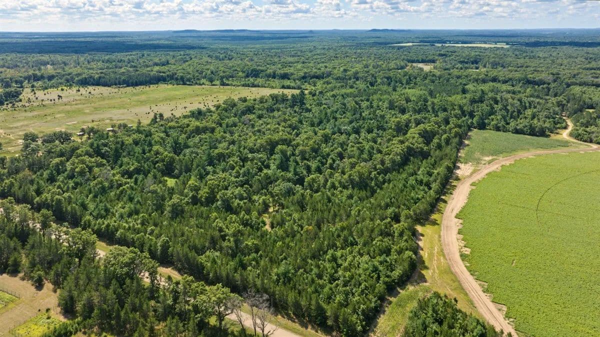 65+/- Acres of Turnkey Whitetail Country — Minutes from Castle Rock Lake - Friendship, Wisconsin, 53934