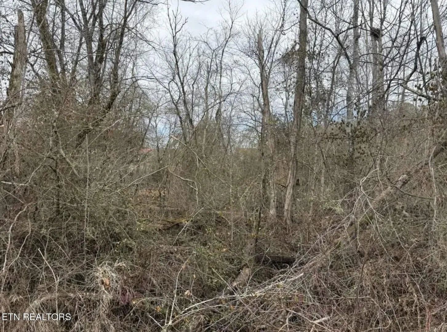 Property from Balboa Drive - KW - Rockwood, Tennessee, 37854